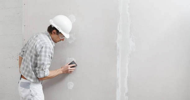 Best Black Mold Removal  in Mitchell, IN